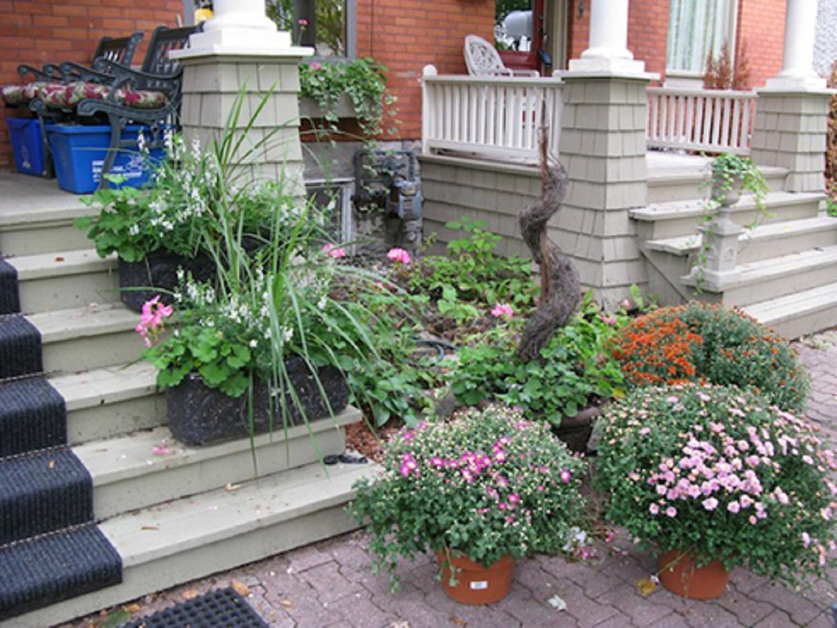 Avalon Bed And Breakfast Ottawa Bagian luar foto